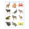 Deltas lieve dieren kleur- en stickerboek - 3-5 jaar