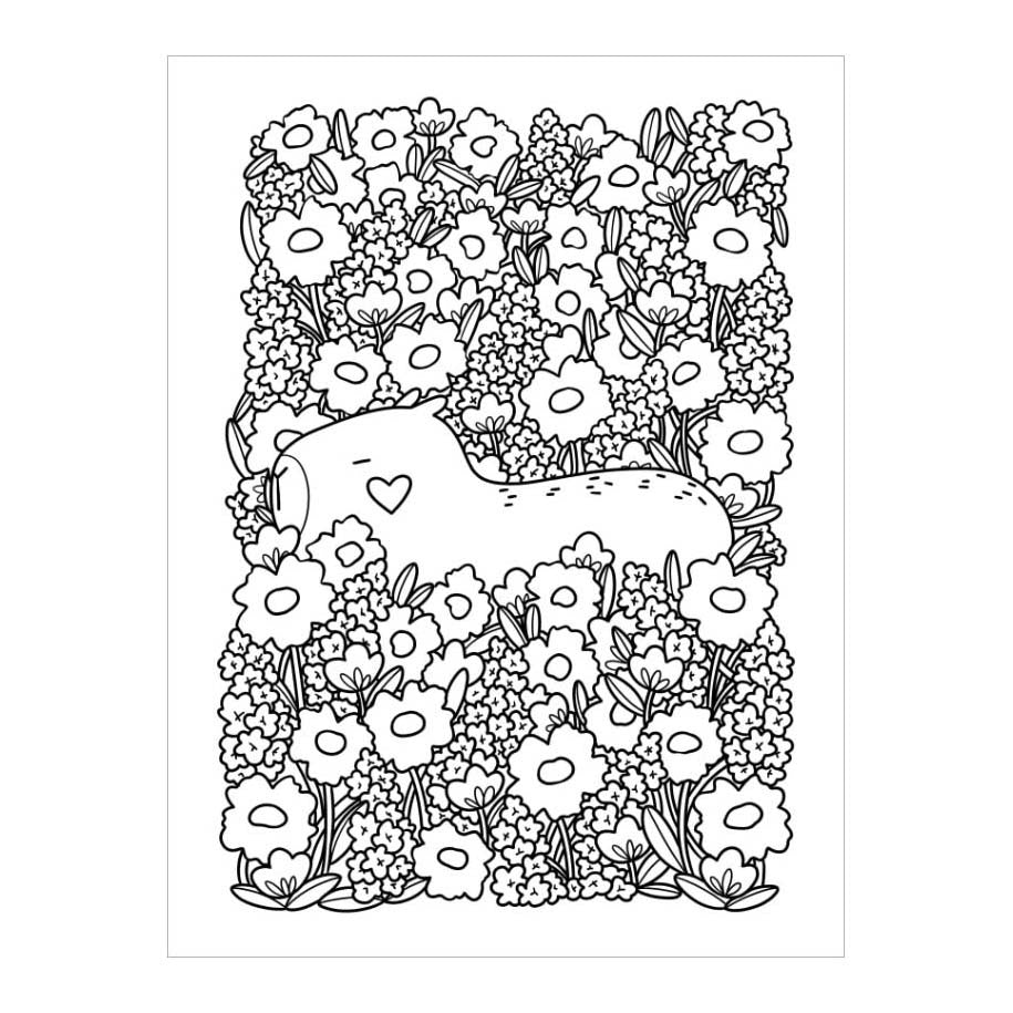 Deltas i love capybaras color kleurblok