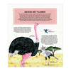 Deltas de wondere wereld van vogels