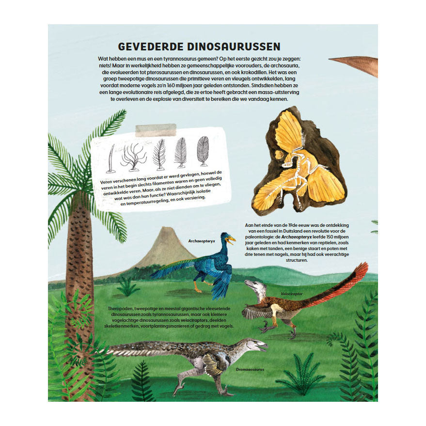 Deltas de wondere wereld van vogels