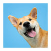 Deltas match the dogs! - memospel