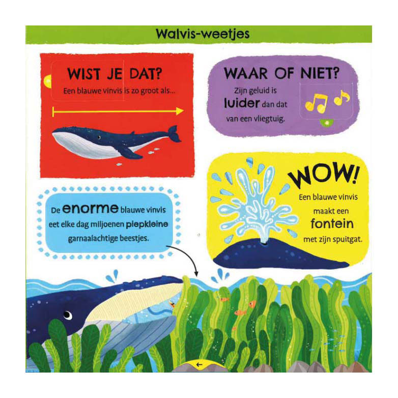 Deltas mijn eerste weetjesboek bij de dieren