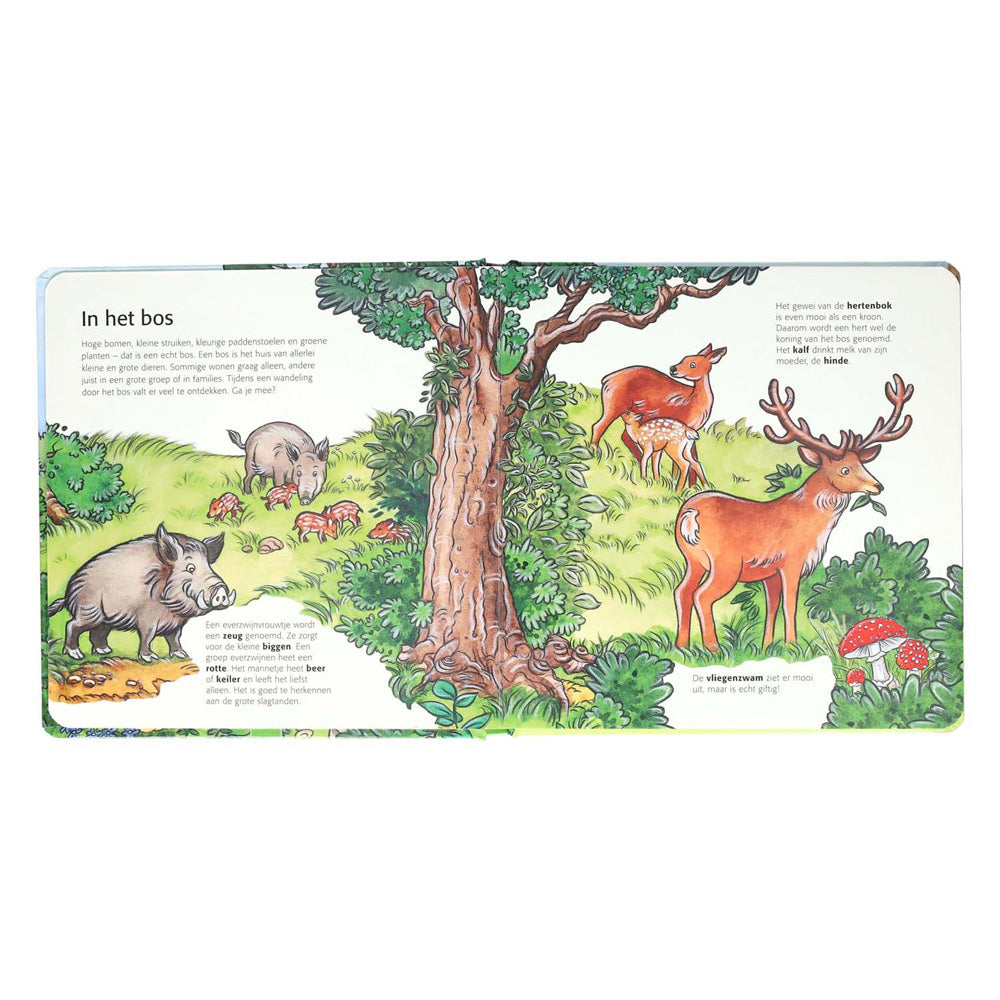 Wins holland kinderen ontdekken het bos