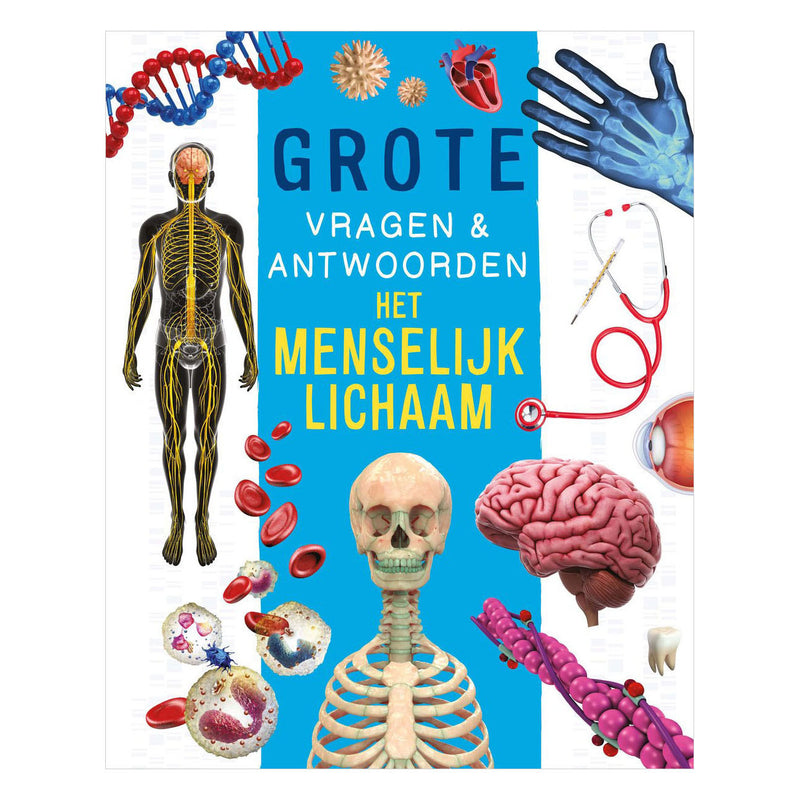 Rebo publishers het menselijk lichaam - grote vragen antwoorden