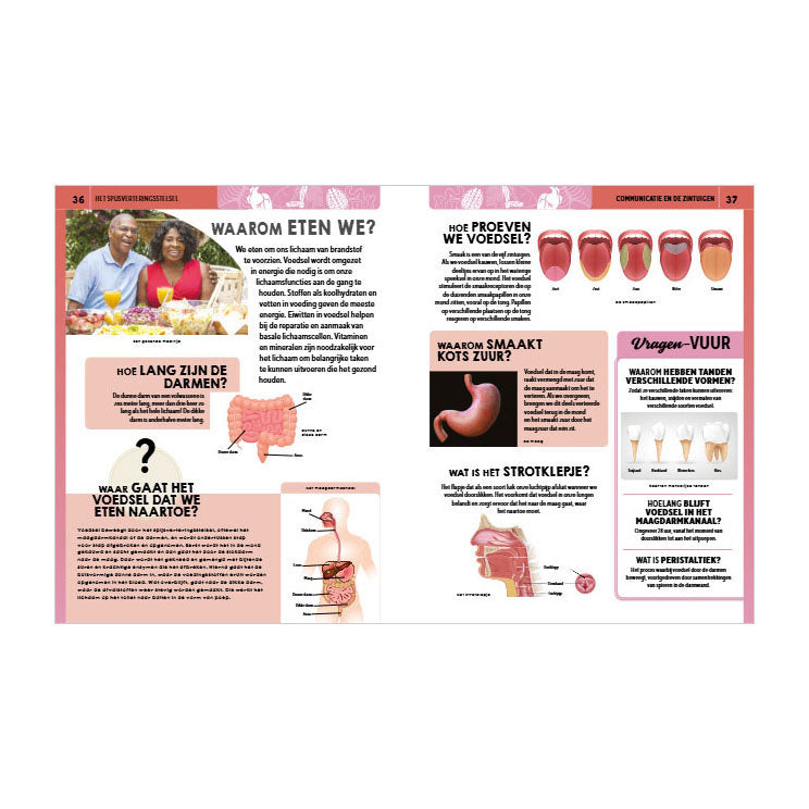 Rebo publishers het menselijk lichaam - grote vragen antwoorden