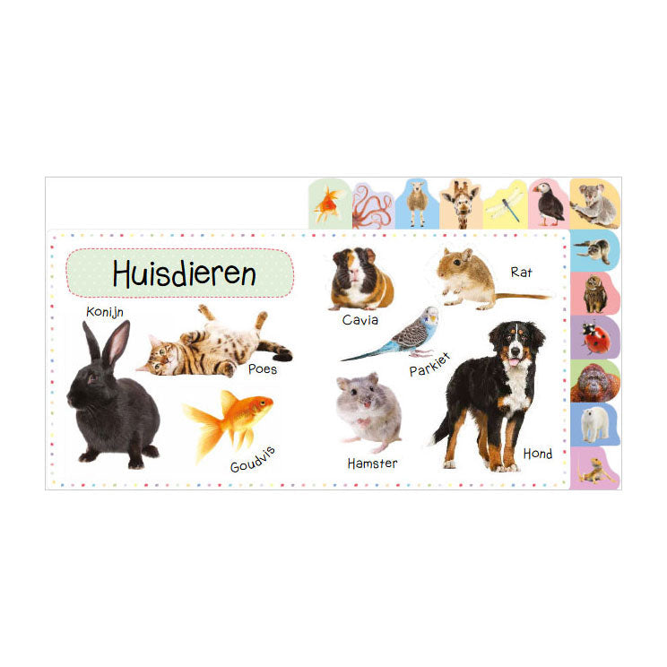 Rebo publishers mijn eerste 100 dieren - mijn eerste 100