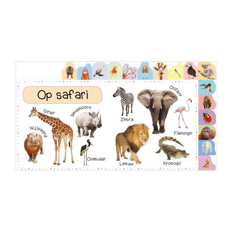 Rebo publishers mijn eerste 100 dieren - mijn eerste 100
