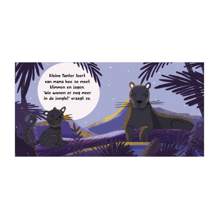 Rebo publishers jungle - wat hoor ik daar? - 6 geluiden