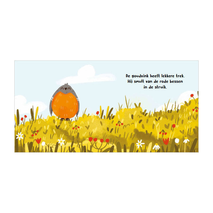 Rebo publishers vogels - wat hoor ik daar? - 6 geluiden