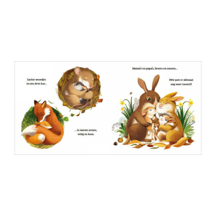 Rebo publishers grote knuffels voor kleine beer