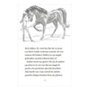Rebo publishers moonlight riders 2 - stormpaard