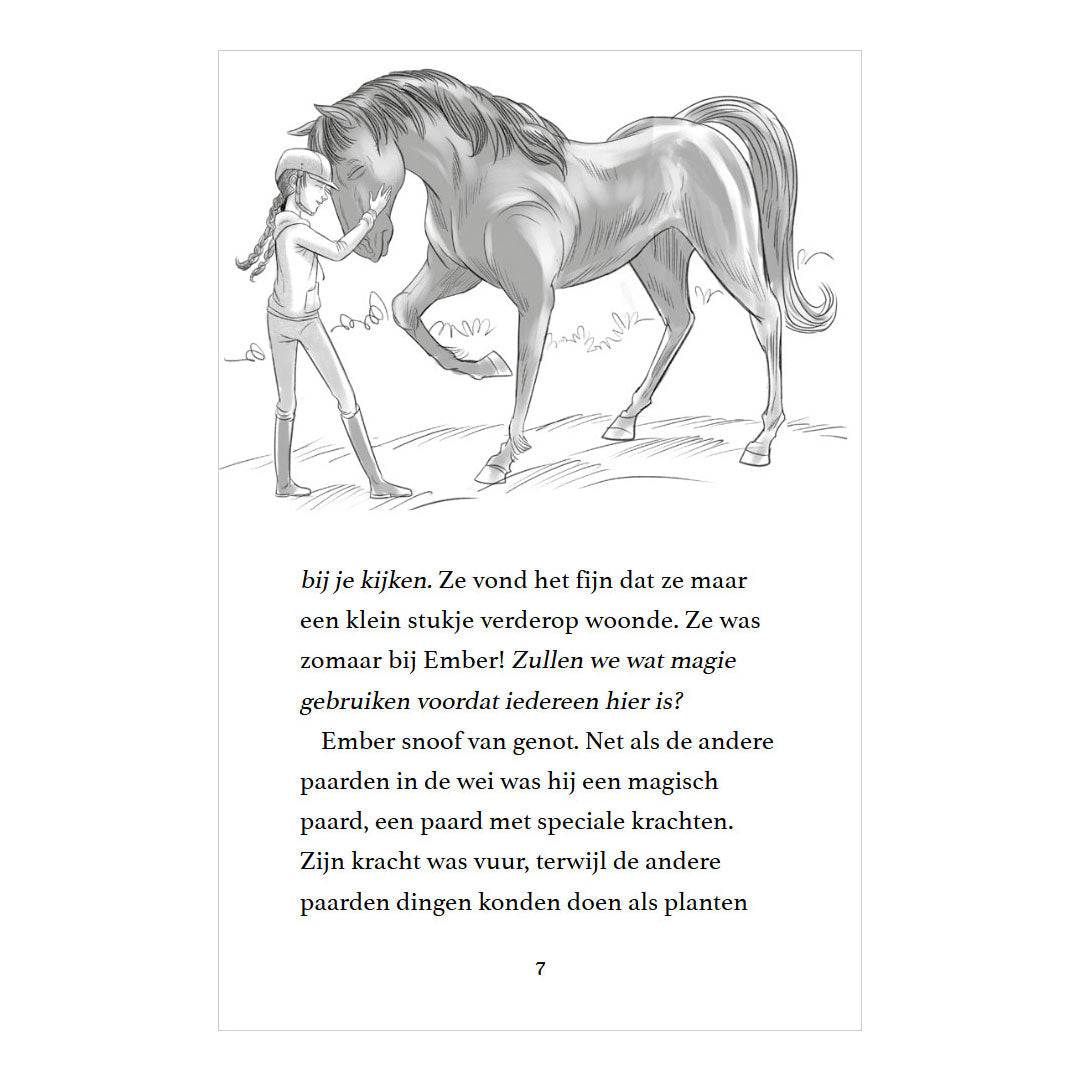 Rebo publishers moonlight riders 2 - stormpaard