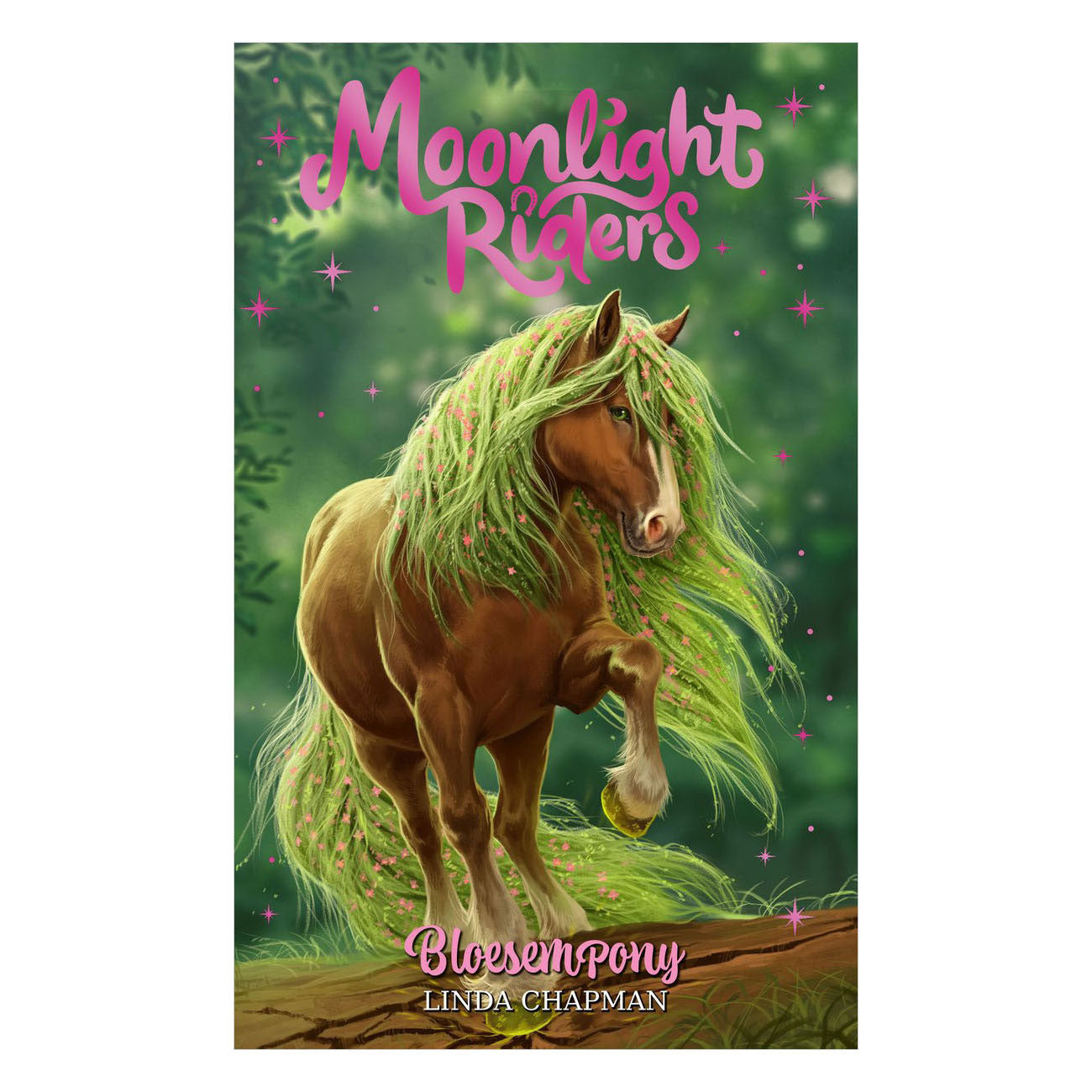 Rebo publishers moonlight riders 3 - bloesempony
