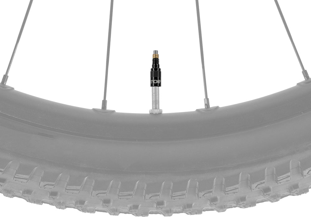 Topeak turboflow valve adapter