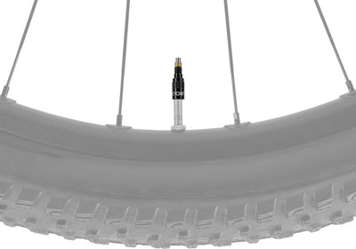 Topeak turboflow valve adapter