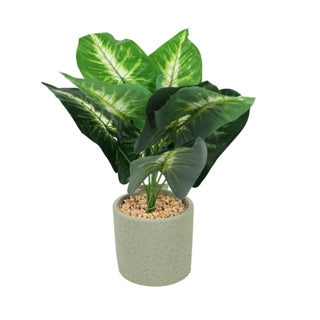 Kunstplant in cementen pot 40 cm 3 assorti | 12 stuks