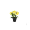 Viooltje in plastic pot ca. 21cmh assorti kleur | 4 stuks