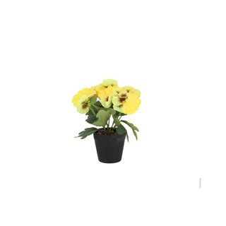 Viooltje in plastic pot ca. 21cmh assorti kleur | 4 stuks
