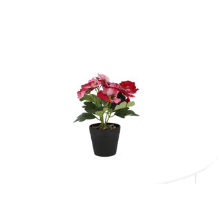 Viooltje in plastic pot ca. 21cmh assorti kleur | 4 stuks