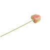 No brand kunstbloem anthurium 58 cm countryfield | 6 stuks