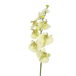 No brand kunst bloem orchidee creme 85 cm