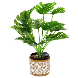 No brand pot olea cylinder bruin 11 cm | 6 stuks