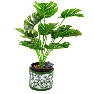 No brand pot olea cylinder groen 11 cm | 6 stuks