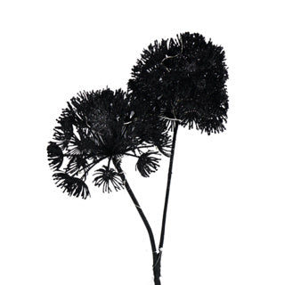No brand | 12 stuks