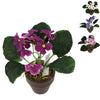 No brand kunstplant in pot kaaps viooltje 16 cm 4 assorti | 12 stuks
