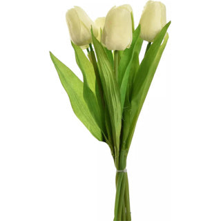 No brand tulp boeket 7 stuks 36 cm cream | 4 stuks
