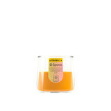 Spaas purelight geurkaars - citronella vivid yellow | 6 stuks - afbeelding 2