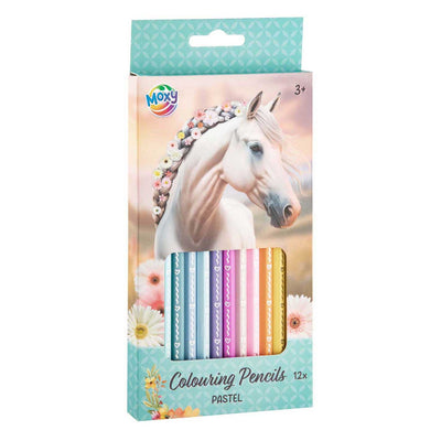 Merkloos sans marque kleurpotloden pastel - 12st.