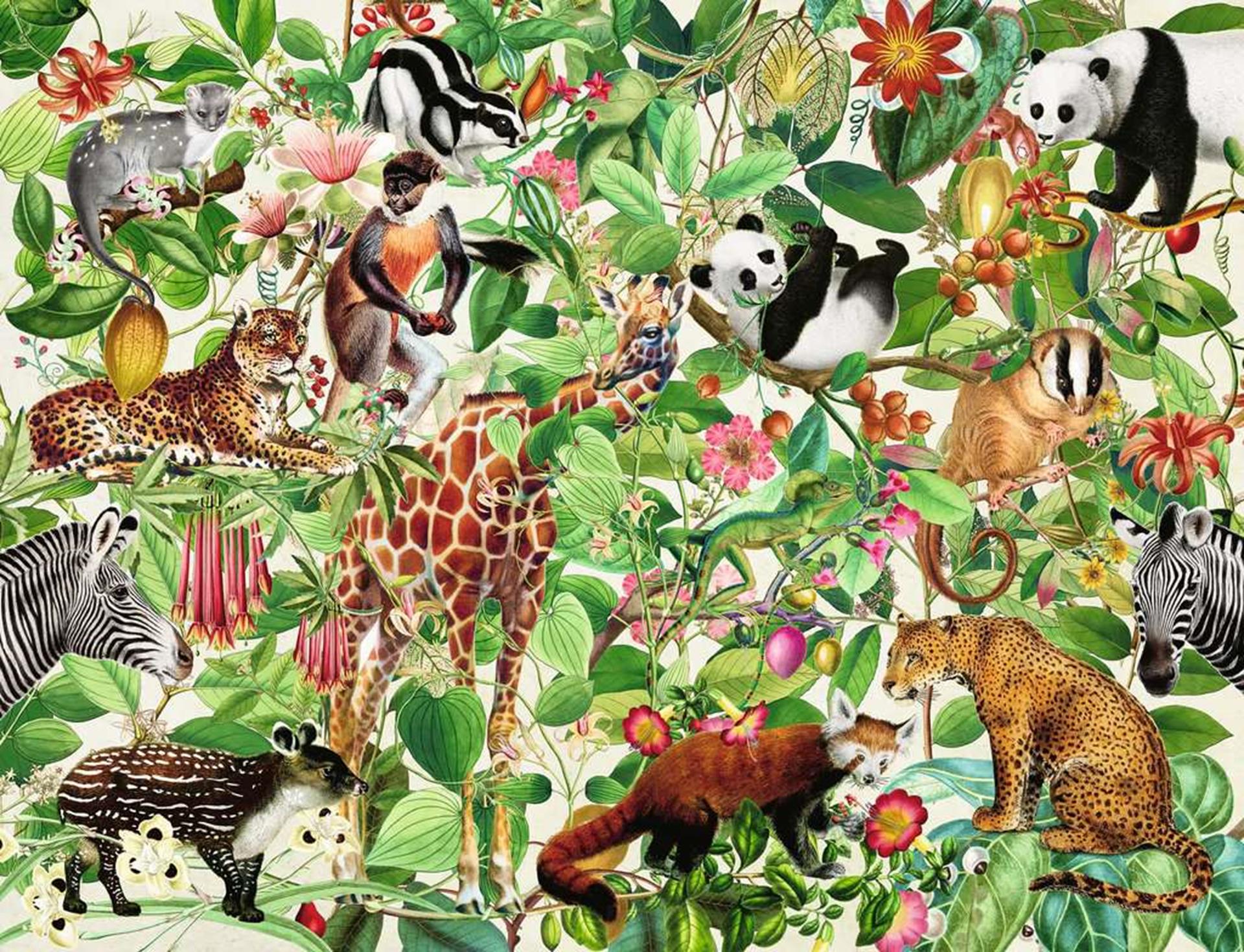 Ravensburger puzzel jungle 2000st