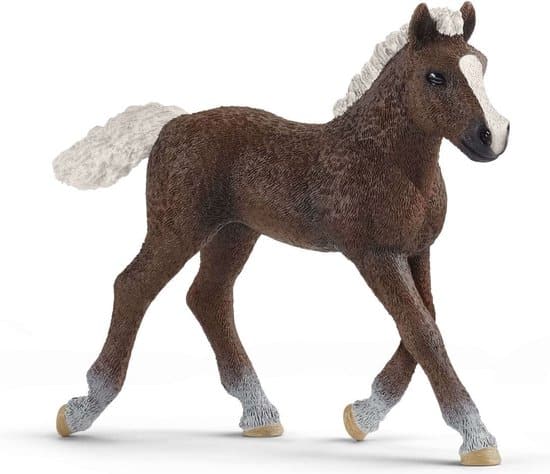 Schleich horse club schwarzwalder veulen 17077