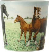 Wiebe van der zee wiebe's farm minimok paard 230ml doos a 6 stuks porselein - afbeelding 2