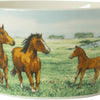 Wiebe van der zee wiebe's farm kom paard ø13cm 6st
