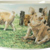 Wiebe van der zee wiebe's farm kom varken ø13cm 6st