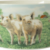 Wiebe van der zee wiebe's farm kom varken ø13cm 6st