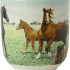 Wiebe van der zee wiebe's farm beker xl paard 41cl 6st