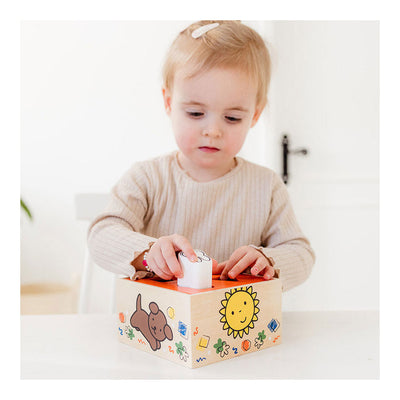 Bambolino nijntje houten speelgoed vormenstoof - peuter kleuter educatief speelgoed - vanaf 1,5 jaar - toys