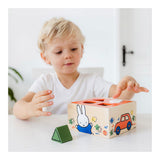 Bambolino nijntje houten speelgoed vormenstoof - peuter kleuter educatief speelgoed - vanaf 1,5 jaar - toys - afbeelding 3