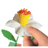 Clementoni create your flowers - narcis