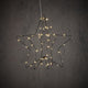 Edelman ster hangend zwart warm wit 60led bo - h32xd30cm | 3 stuks