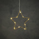 Edelman ster goud warm wit 10led battery operated - d25cm | 6 stuks