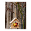 Vogelvoerhouder appelhouder