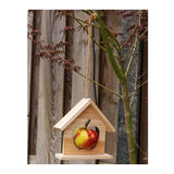 Vogelvoerhouder appelhouder - afbeelding 3