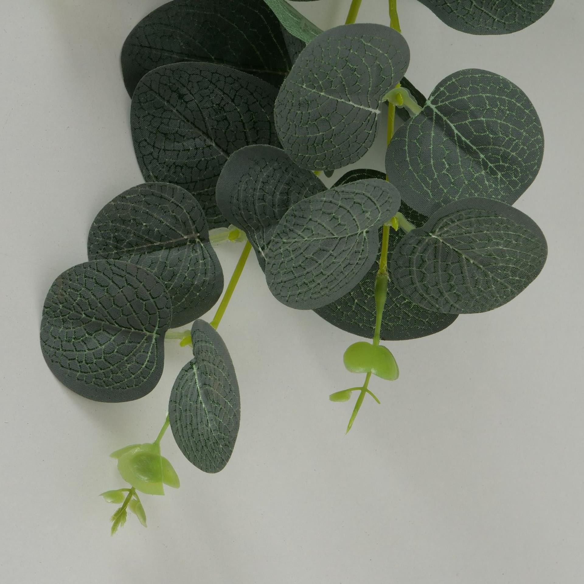 Boltze home plantenslinger eucalyptus l75cm