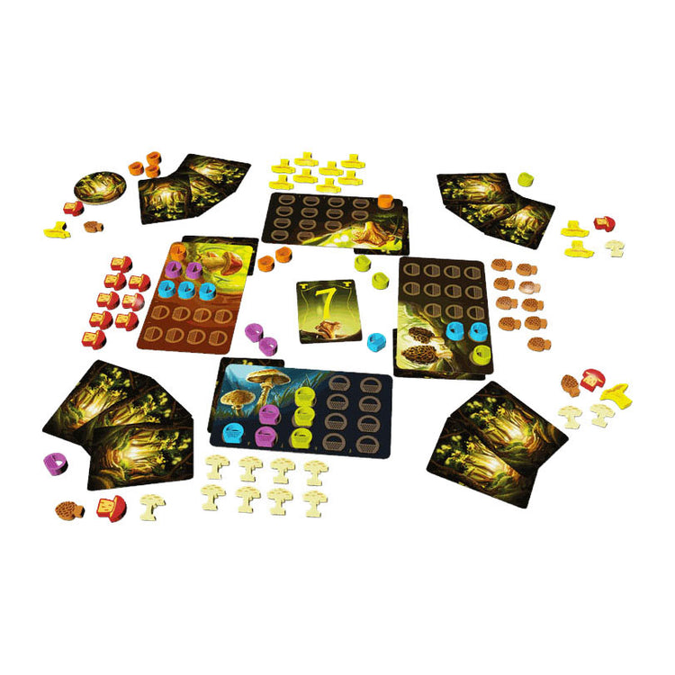 Geronimo games blue orange bordspel wonder woods