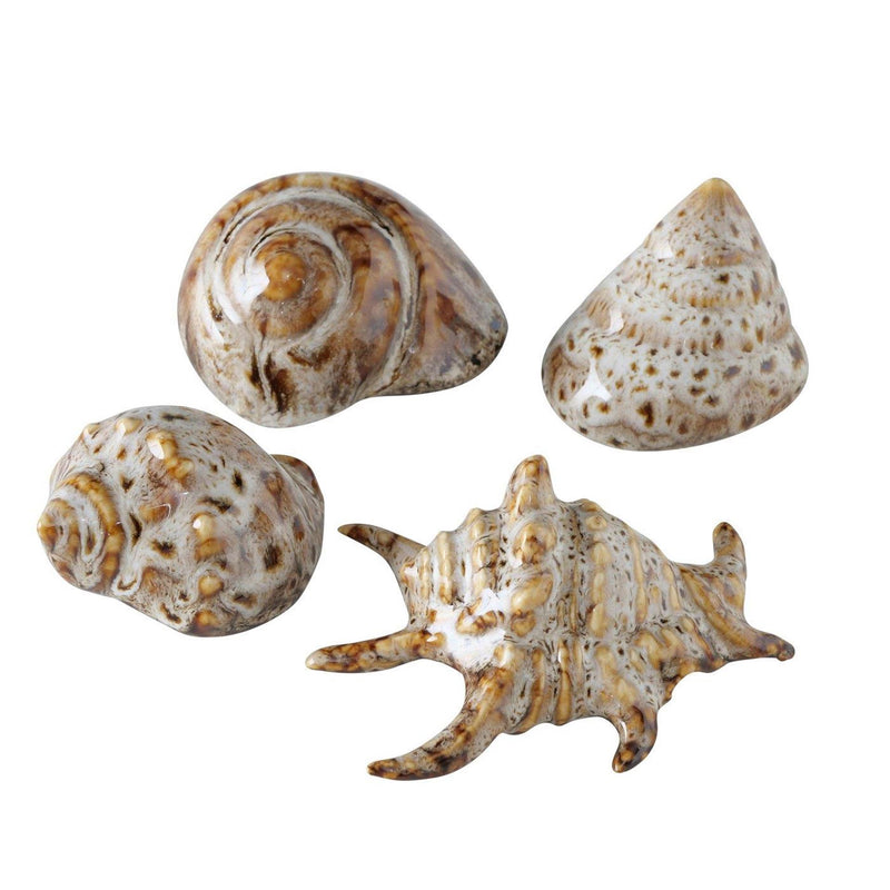 Boltze home deco schelp 7x6x4cm