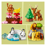 Lego Duplo LEGO DUPLO 10975 Wilde Dieren van de Wereld - afbeelding 5